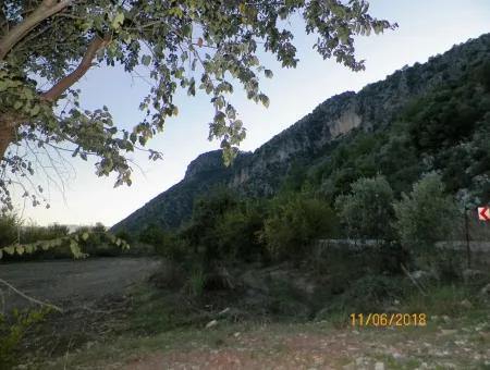 Farm For Sale In Oriya Yeşilyurt