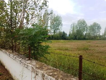 Suitable Land For Investment For Sale In Fire