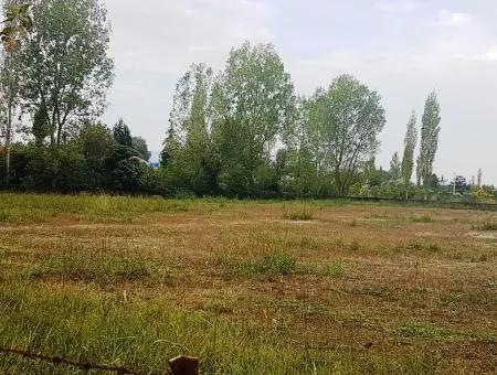 Suitable Land For Investment For Sale In Fire