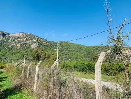 For Sale Land For Sale In Mergenli