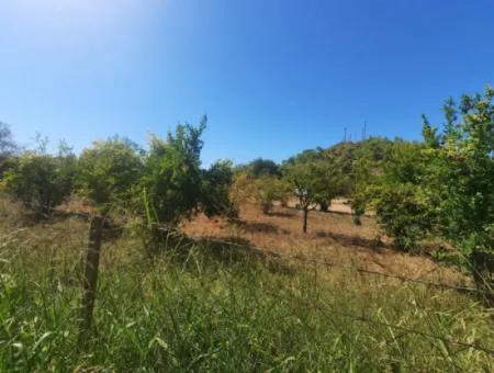 Muğla Ortaca Çaylıda 600 M2 Residential Zoned Bargain Land For Sale