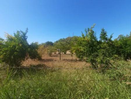 Muğla Ortaca Çaylıda 600 M2 Residential Zoned Bargain Land For Sale