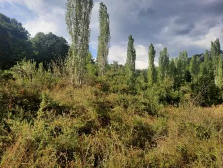 Muğla Köyceğiz Yayla Mah 795 M2 Land With Zoning For Sale