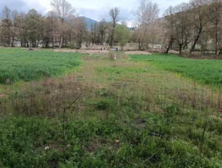 Çameli Kirazlıyaylada 1450 M2 Fertile Detached Land For Sale