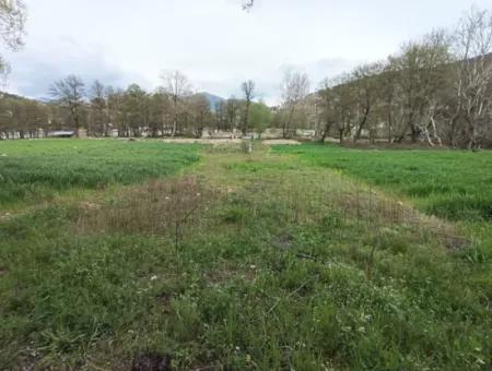 Çameli Kirazlıyaylada 1450 M2 Fertile Detached Land For Sale