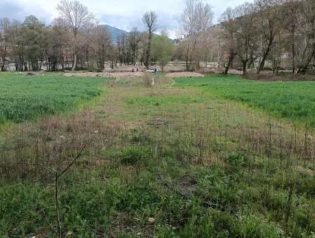 Çameli Kirazlıyaylada 1450 M2 Fertile Detached Land For Sale