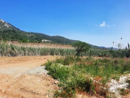 14300 M2 Land Suitable For Investment For Sale In Muğla Ortaca Sarıgerme