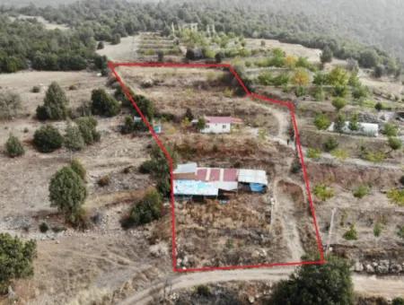 5 000 M2 Land In Çameli Kızılyaka 2 In 1 Detached House, And Barn For Rent