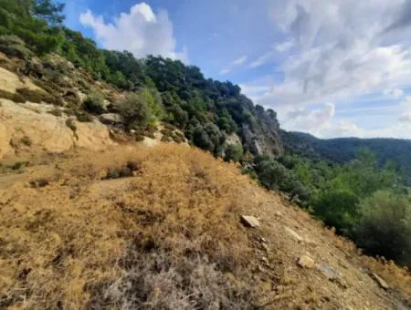 Muğla Dalyan Gökbelde 7 270 M2 Detached Title Deed Sea And Lake View Land For Sale