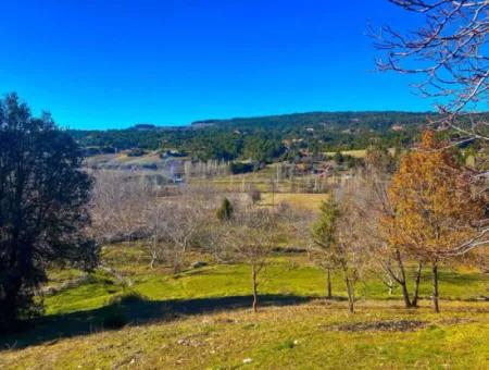 3.278 M² Opportunity Zoned Detached Land For Sale In Denizli Çameli Cevizli