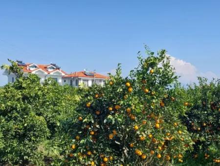 722 M2 Zoned Detached Land For Sale In Dalyan, Muğla