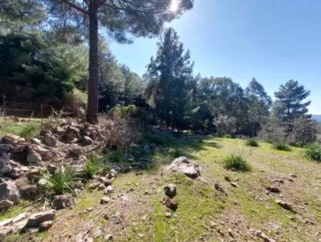 2 400 M2 Field For Sale In Muğla Ortaca Gökbelde Nature