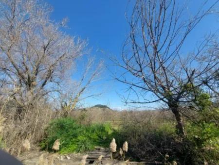 Muğla Dalyanda Canal Front Detached 5 000 M2 Land For Sale