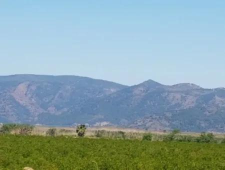 Garden Of Pomegranates For Sale In Dalyan