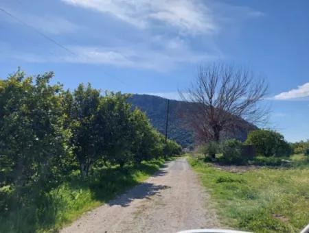 2 300 M2 Land Suitable For Investment In Ortaca Okçular Marmarlı For Sale