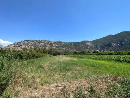 970 M2 Rızai Taksimli Share For Sale In Dalyan