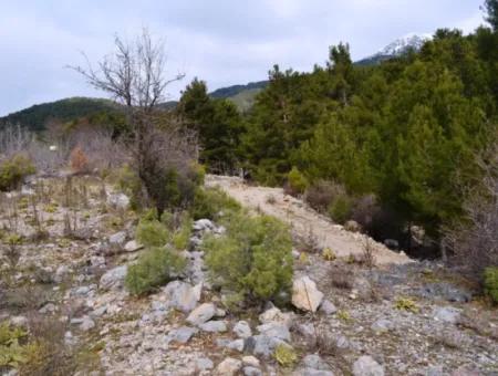 Fethiye, Nifte, 2 000 M2, Detached For Sale, Bargain Land