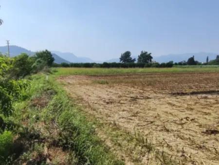 Rızai Taksimli 798 M2 Field For Sale In Muğla Ortaca Fevziye Neighborhood