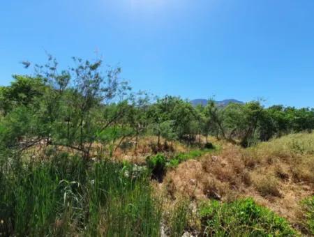 Muğla Ortaca Dalyanda Canal Front 6 500 M2 Land With Title Deed For Sale