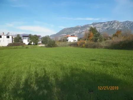 Land For Sale In Bargain Detached Zeytinalani