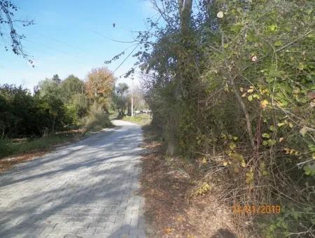 Land For Sale In Bargain Detached Zeytinalani