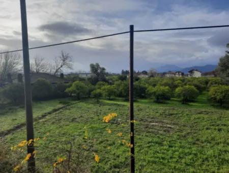Muğla Köyceğizde Antalya - Izmir Main Road Zero Fuel Station Suitable Commercial Zoned Land For Sale