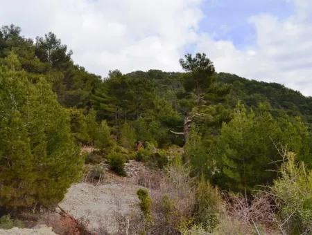 For Sale Bargain Land In Fethiye Ta Sty