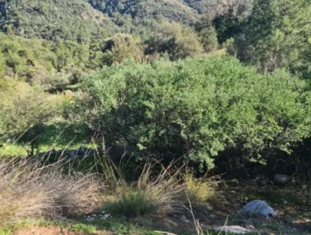 15.000 M² Detached Land With A Partial Sea View Is For Sale In Muğla Fethiye İnlice Mahallesi Kertmeç Location.