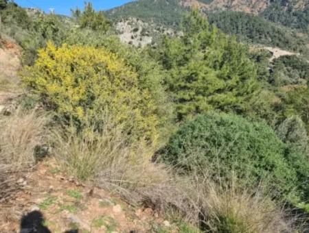 15.000 M² Detached Land With A Partial Sea View Is For Sale In Muğla Fethiye İnlice Mahallesi Kertmeç Location.