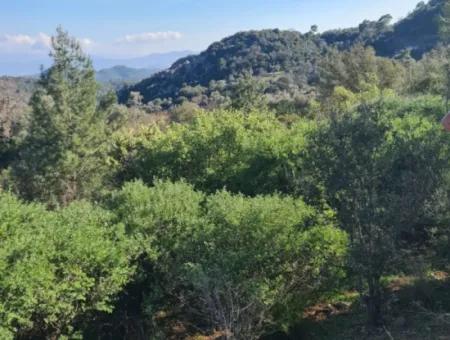 15.000 M² Detached Land With A Partial Sea View Is For Sale In Muğla Fethiye İnlice Mahallesi Kertmeç Location.