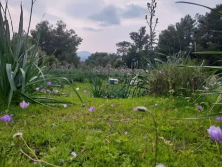 3.500 M2 Detached Land With Sea View For Sale In Dalaman Gürköy