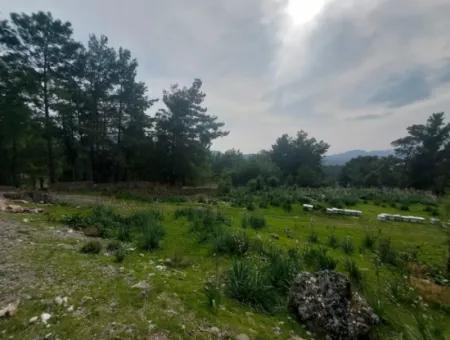3.500 M2 Detached Land With Sea View For Sale In Dalaman Gürköy