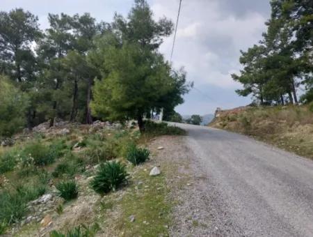 3.500 M2 Detached Land With Sea View For Sale In Dalaman Gürköy
