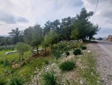 3.500 M2 Detached Land With Sea View For Sale In Dalaman Gürköy