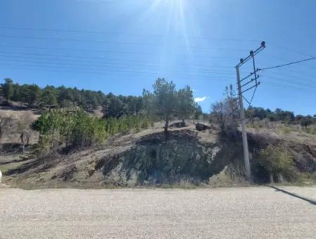 Bargain Land For Sale In Çameli Gökçeyaka 1 844 M2 Detached Land For Sale.