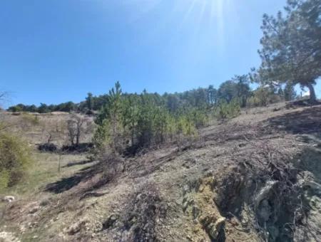 Bargain Land For Sale In Çameli Gökçeyaka 1 844 M2 Detached Land For Sale.