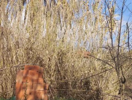 850 M2, 25/50 Residential Zoned Land Close To The Lake In Köyceğiz For Sale