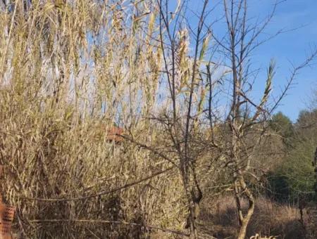 850 M2, 25/50 Residential Zoned Land Close To The Lake In Köyceğiz For Sale