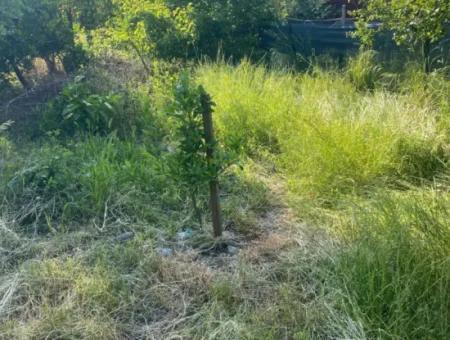 500 M2 Land With Rızai Partition In Ortaca Kemaliye For Emergency Sale