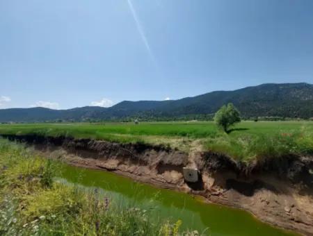 Bargain Land For Sale In Çameli Bıçakçı – 5.333 M² Detached Title Deed