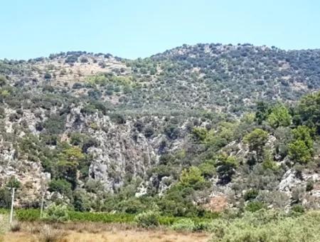 74,000 M2 Sea View Land For Sale In Dalaman Kapıkargın