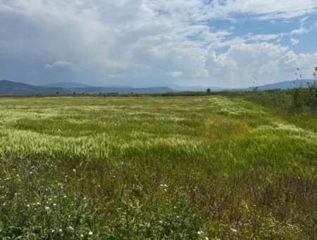 Milas Avşar 27.216 M2 Flat Data Detached Land For Urgent Sale, Open To Offer