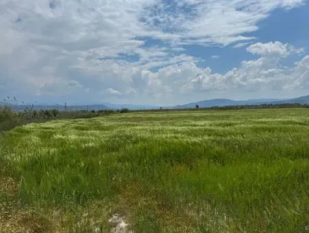 Milas Avşar 27.216 M2 Flat Data Detached Land For Urgent Sale, Open To Offer