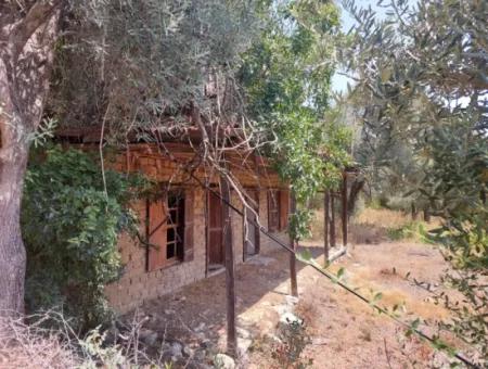 Village House With Lake View And Olive Grove Land For Sale In Köyceğiz Çandır, Muğla
