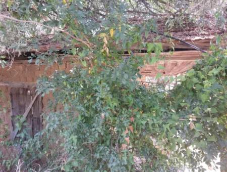 Village House With Lake View And Olive Grove Land For Sale In Köyceğiz Çandır, Muğla