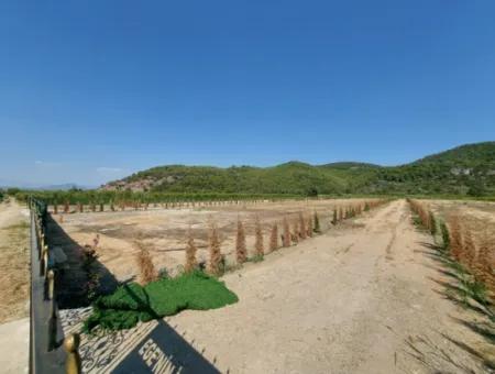 Cooperative Shares For Sale In Ortaca Güzelyurt – 270 M²
