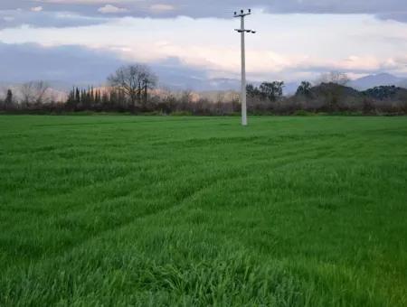 Detached Fertile Bargain Land For Sale In Ortaca Mergenli