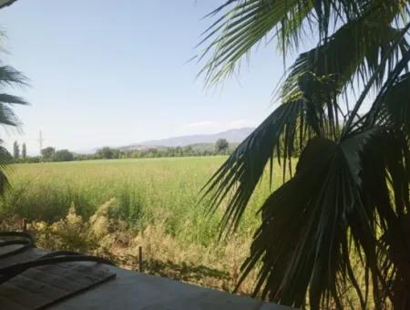 3 1 Furnished Detached House For Rent