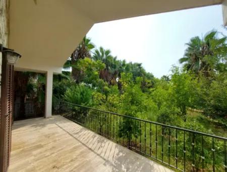 Houses On 3.500 M² Land Suitable For Tourism Investment In Muğla Dalyan For Sale
