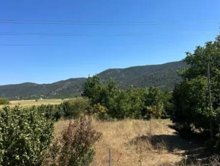 3070 M2 Walnut Orchard For Sale On The Side Of The Main Road In Denizli Çameli